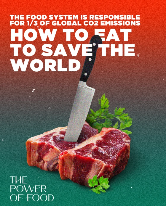 The Power of Food post: a knife in a raw steak under the headline “How to eat to save the world”